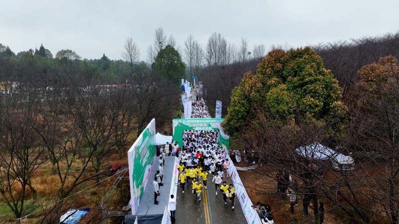 2024貴州·清鎮櫻花季系列活動“櫻約而至”趣味歡樂跑活動中,趣味歡樂跑活動現場。代勝強攝