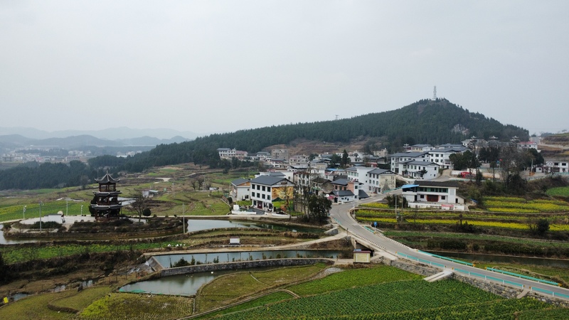 郭家灣村春景圖。