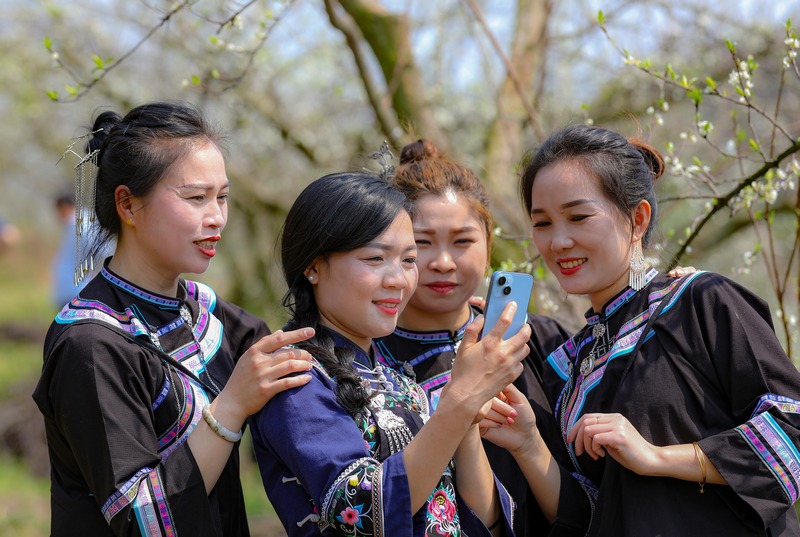 2024年3月12日，游客在貴州省黔南布依族苗族自治州羅甸縣羅悃鎮李子基地賞花、拍照。