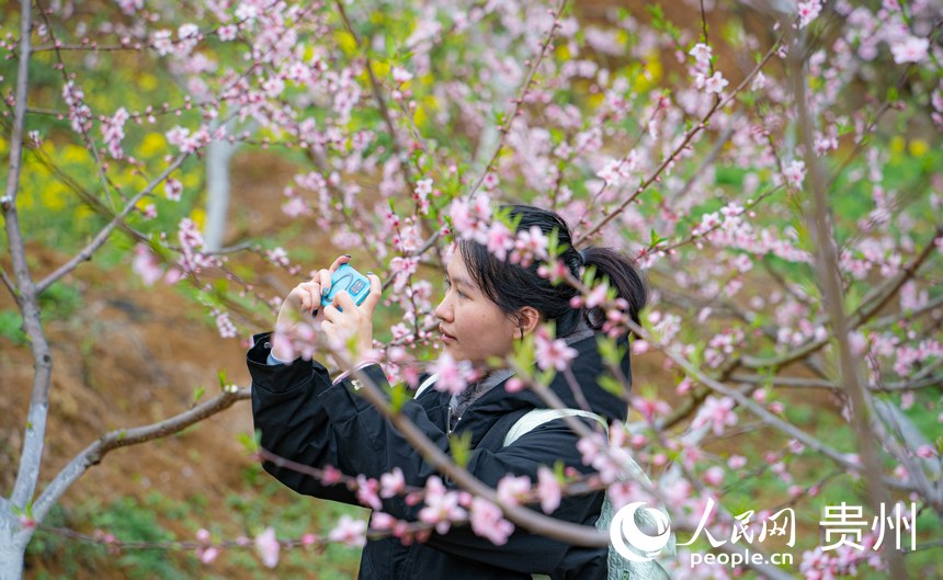 游客在花叢中拍照打卡。人民網(wǎng) 陽茜攝