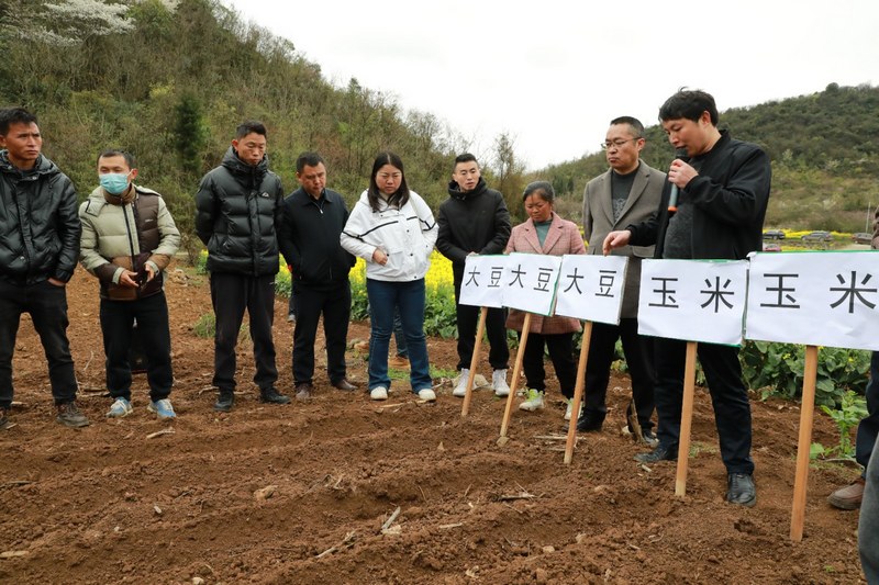 (2)2024年3月18日，圖為農(nóng)技專(zhuān)家為大家講解大豆玉米帶狀復(fù)合種植日常管理注意事項(xiàng)。（任芳靚 攝）.jpg
