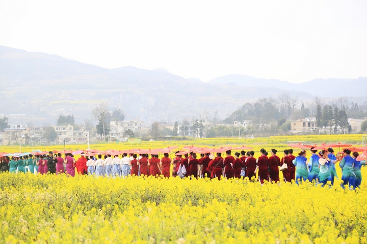 昊禹油菜花走秀。