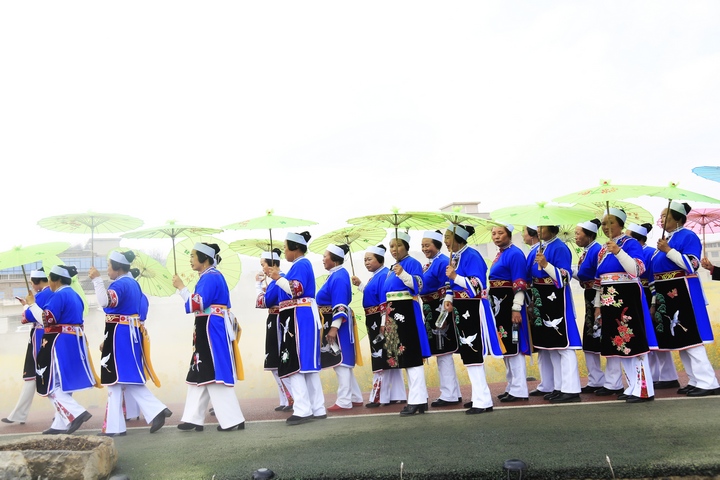 昊禹油菜花走秀。