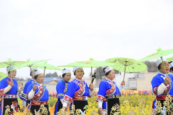 昊禹油菜花走秀。