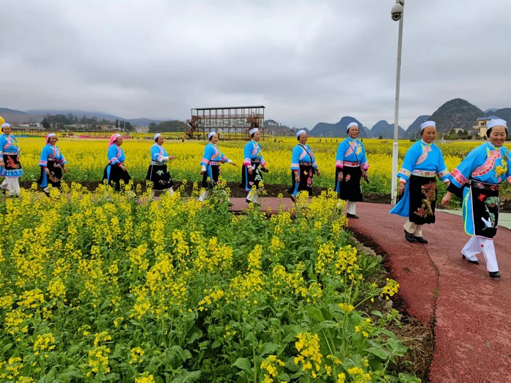 昊禹油菜花走秀。