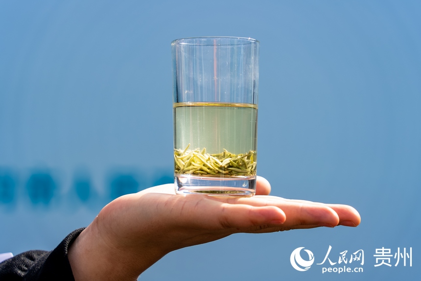 活動現場展示的都勻毛尖茶。人民網記者 涂敏攝