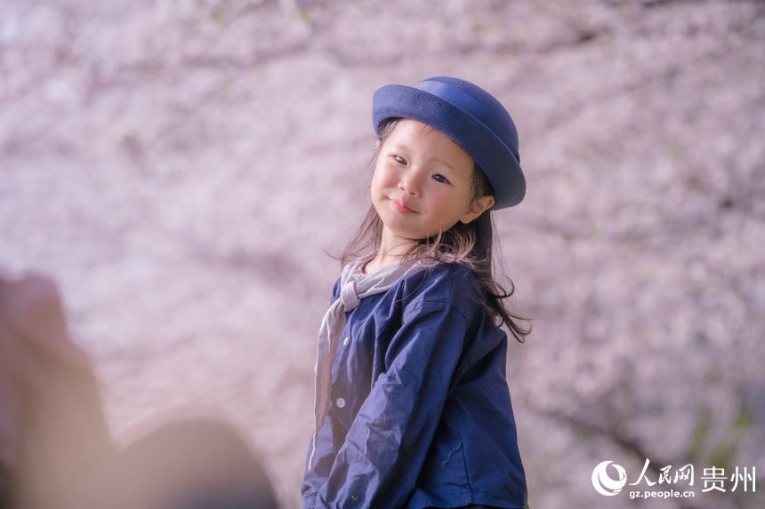 小朋友在櫻花樹(shù)下拍照。人民網(wǎng) 陽(yáng)茜攝