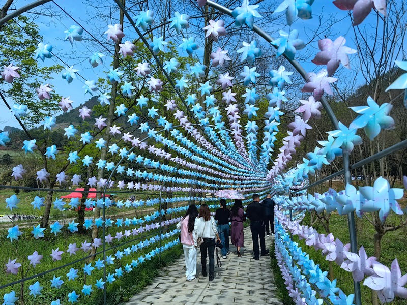游客及研學(xué)愛好者在校園內(nèi)踏青觀景。黔南職院供圖