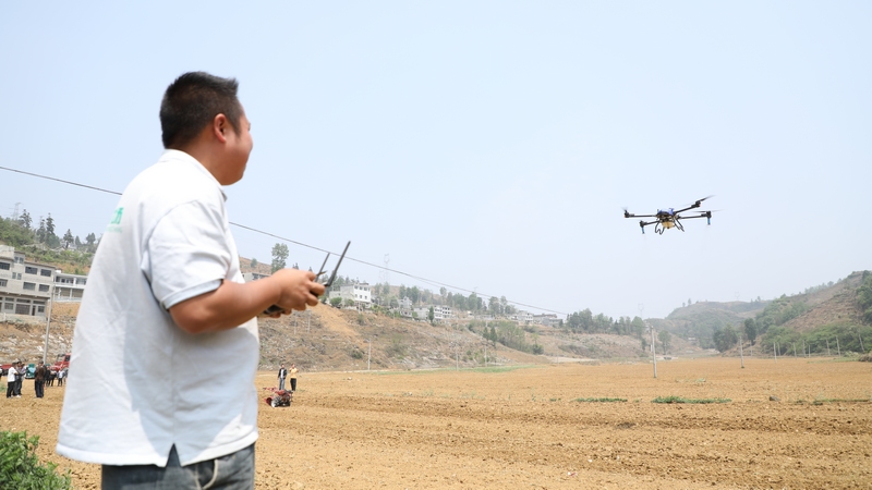 4月12日，農(nóng)技人員在進(jìn)行無(wú)人機(jī)操作演示。周訓(xùn)貴攝