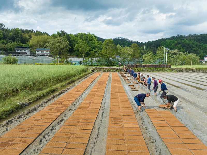 萬山農機助春耕，農業更高效。