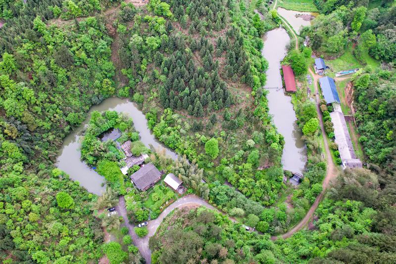 楊武森的養羊基地。
