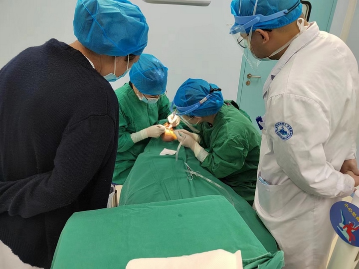 務川縣人民醫院醫師現場學習技能。貴陽市口腔醫院供圖