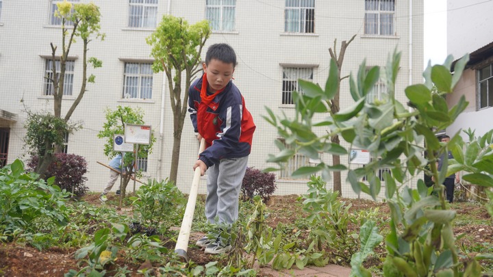 讓勞動教育在校園里“生根”。