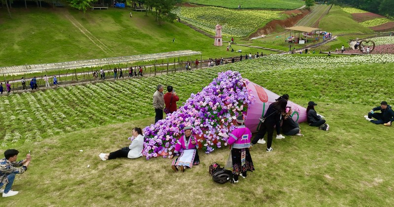 游客在花束打卡點(diǎn)拍照 李潔 攝 (1).jpg