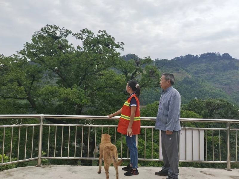 3 守護青山巾幗志 續寫兩代護林情