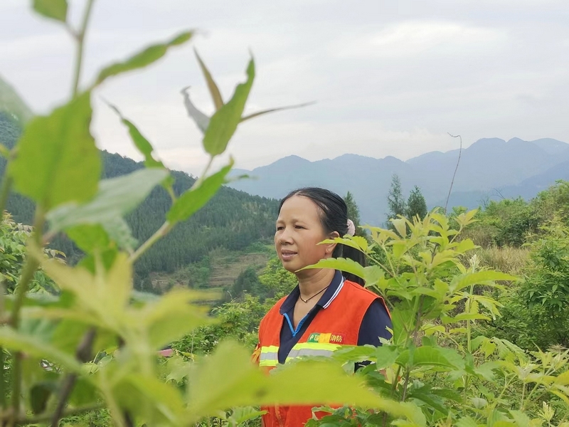 4 羅美在巡林 (2)