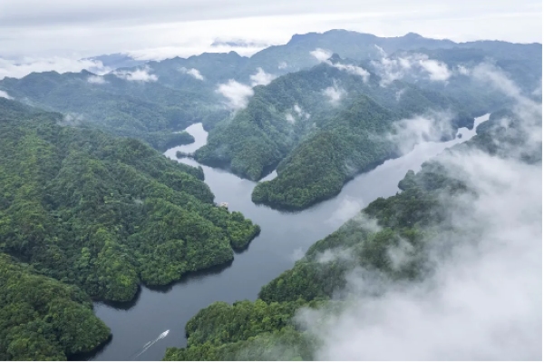 1 大沙河保護區風光 (陳慶軍 攝)