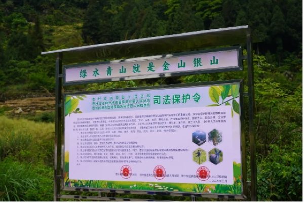 3 司法保護(hù)令