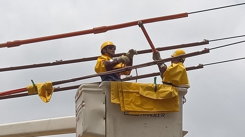 工作人員正在帶電對(duì)導(dǎo)線進(jìn)行絕緣遮蔽 修文縣供電局羅志勇 攝