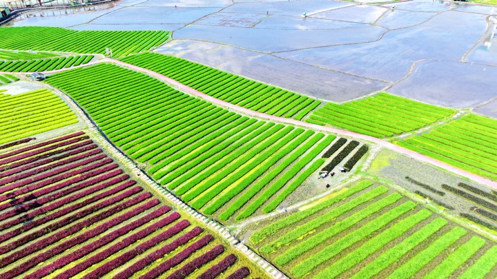 昊禹?稻花鄉里。