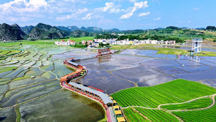 昊禹?稻花鄉里。