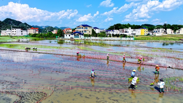 昊禹?稻花鄉里。