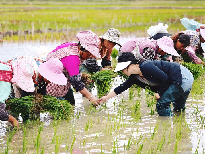 科技賦能 助農(nóng)興農(nóng)。