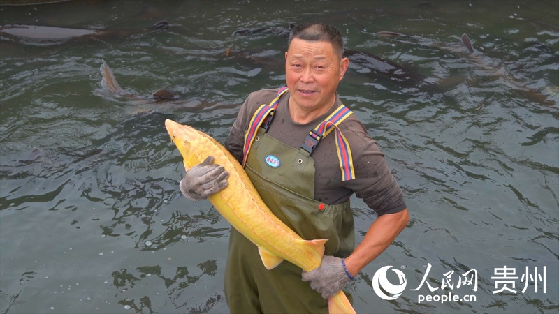 工人正在捕撈鱘魚。人民網 陽茜攝