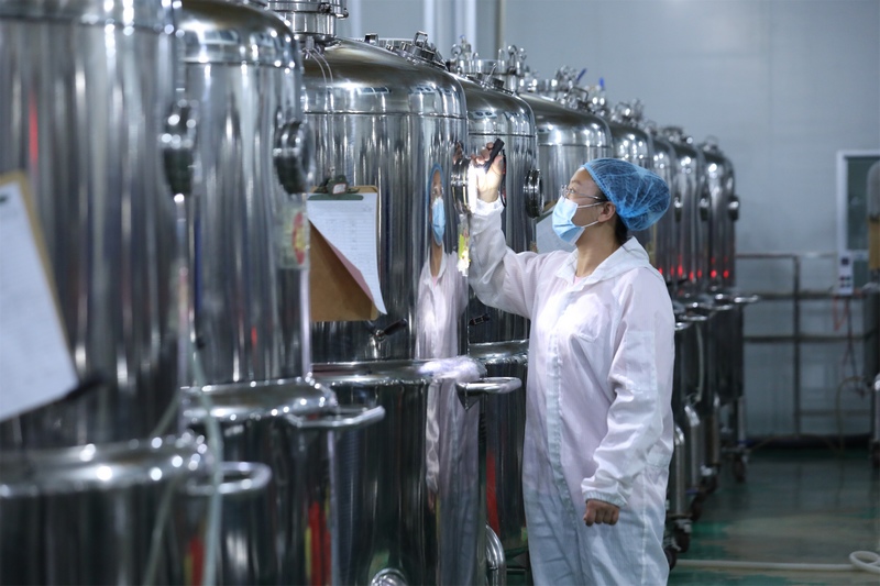 技術員檢查菌種培育情況。