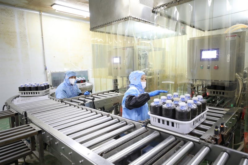 自動接種機正在給菌包接種。