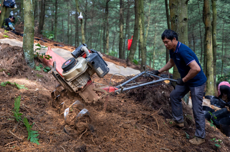 村民用旋耕機翻松土地。李學友攝