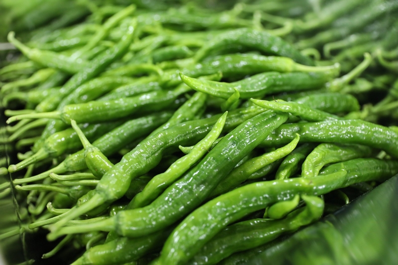 圖為駱家橋村生產的辣椒。李齊 攝