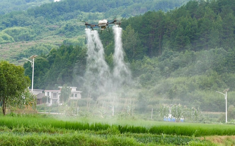 無人機正在進行“飛防”作業.