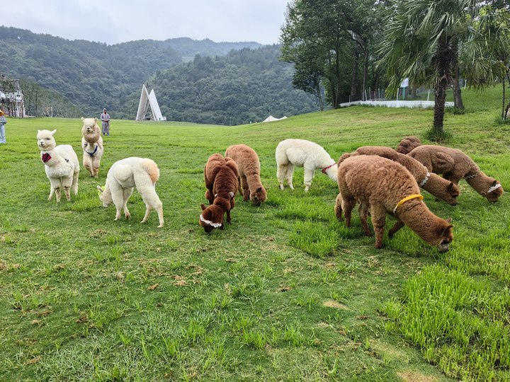 畢節市黔西中果河景區(4A級)。黔西市委宣傳部提供