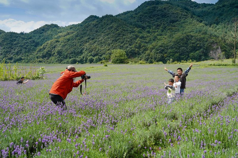 7月21日，游客在貴州省畢節市赫章縣興發鄉中寨村薰衣草花海游玩拍照。