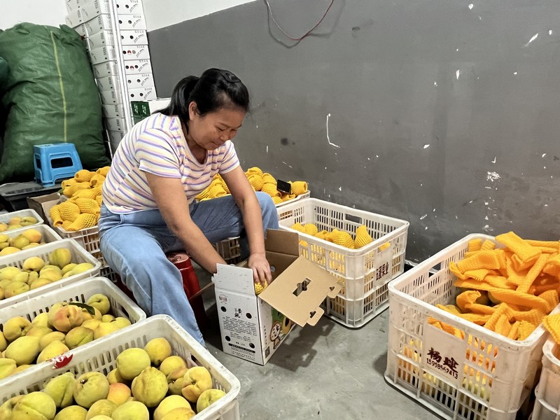 工作人員正在裝盒。