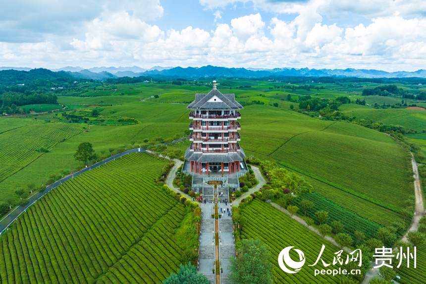 航拍貴州省遵義市湄潭縣的萬畝茶海景區。人民網 陽茜攝