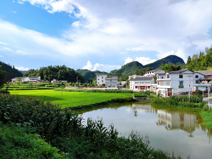 藍天白云、青山綠水下的白坭村。