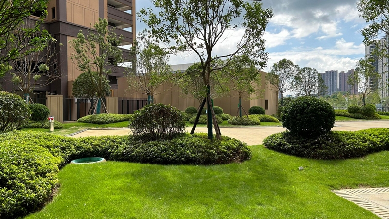 小區綠化。陳語豐攝