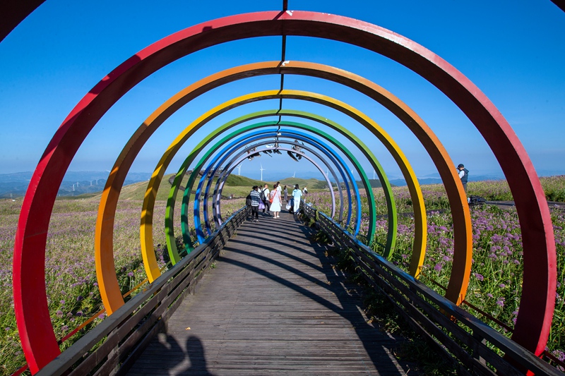 8月24日，游客在貴州省畢節市赫章縣阿西里西·韭菜坪景區游玩。