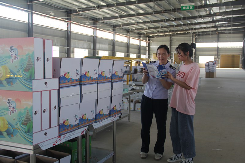 2.稅務(wù)干部為貴州從江真尊實(shí)業(yè)有限公司送上并解讀“百香果產(chǎn)業(yè)稅費(fèi)服務(wù)手冊(cè)”。