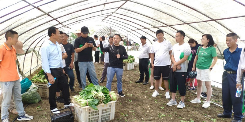 田間課堂現場。 龔曉宏 攝.jpg