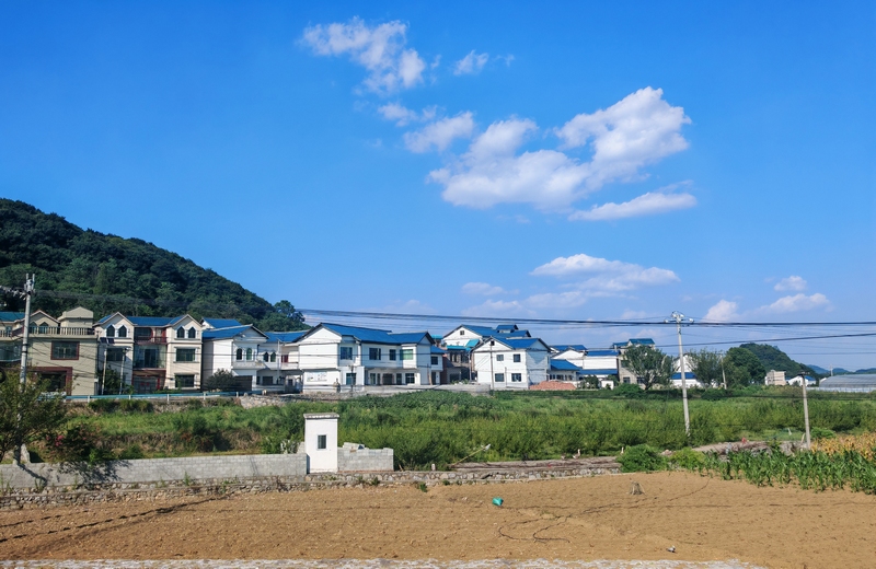 美麗鄉村畫卷。沈建華 攝