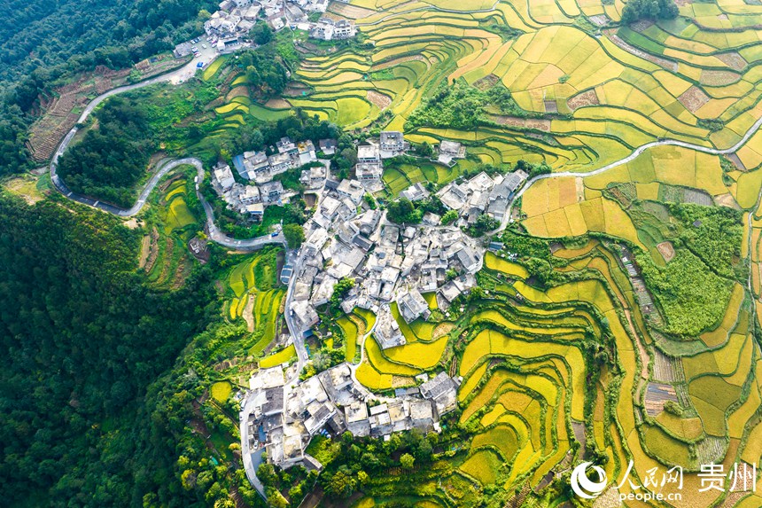 航拍貴陽市花溪區高坡苗族鄉梯田。人民網記者 涂敏攝