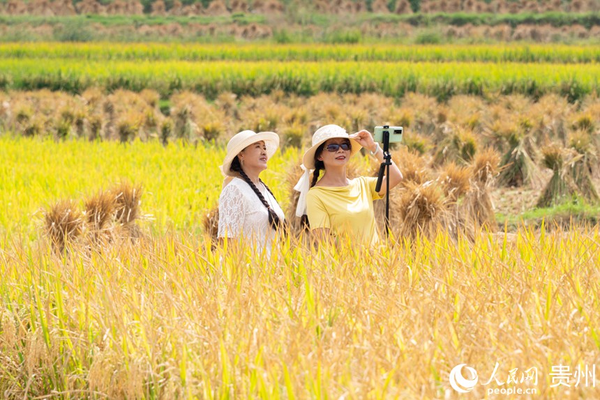 游客在梯田內游玩拍攝。人民網記者 涂敏攝