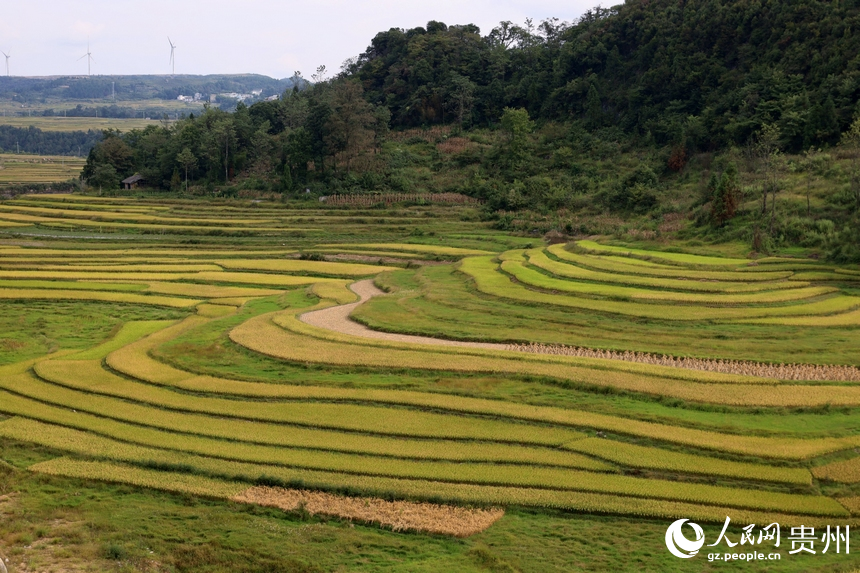 貴州龍里“豐”景如畫。人民網(wǎng) 潘佳倩攝
