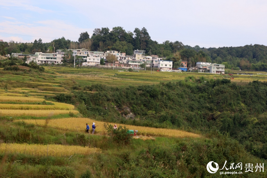 貴州龍里“豐”景如畫(huà)。人民網(wǎng) 潘佳倩攝