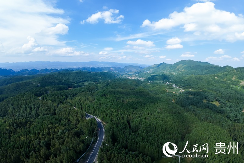 航拍畢節市納雍縣國有化作林場。人民網記者 涂敏攝