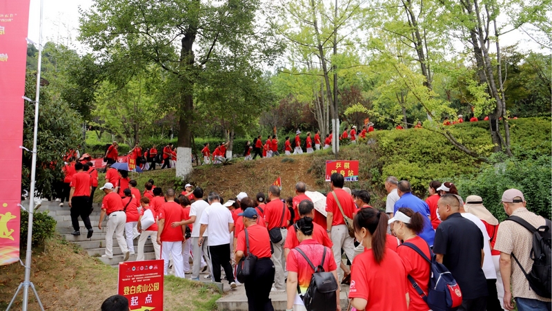 “開心快樂健身站”“龍場街道健身站”“健身球健身站”等32支隊伍近1000名老年朋友身著運動衣,精神矍鑠,參與活動。文俊入攝