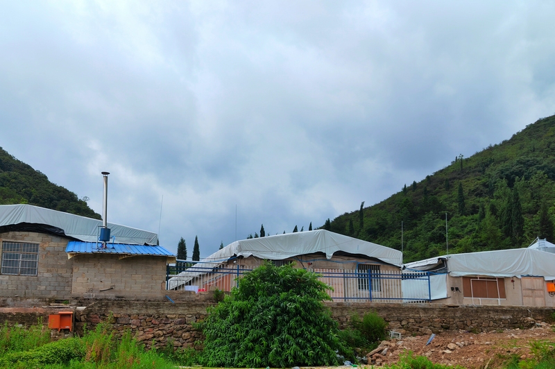 4朝陽村肉雞養殖場